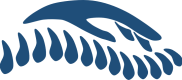 LOGO AZUL OSCURO ORIGINAL